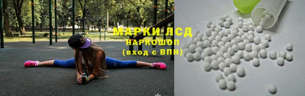 сатива Бородино