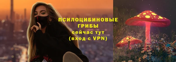 сатива Бородино