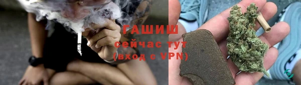 сатива Бородино