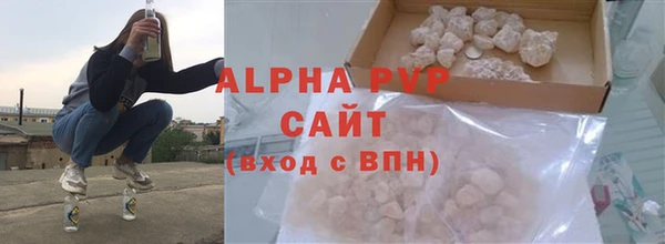 сатива Бородино