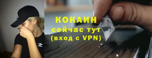 сатива Бородино