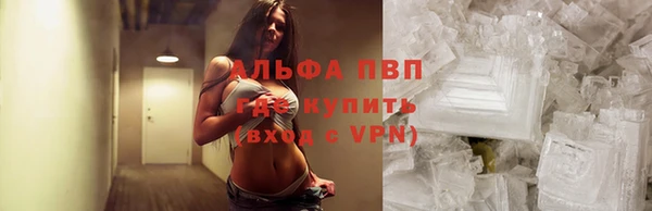 сатива Бородино