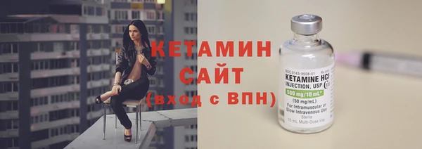 сатива Бородино
