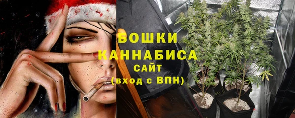 Альфа ПВП Бугульма