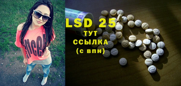 сатива Бородино