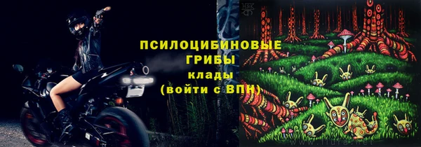 спиды Строитель