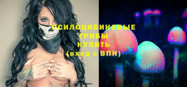 Альфа ПВП Бугульма