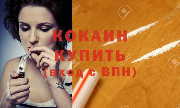 сатива Бородино